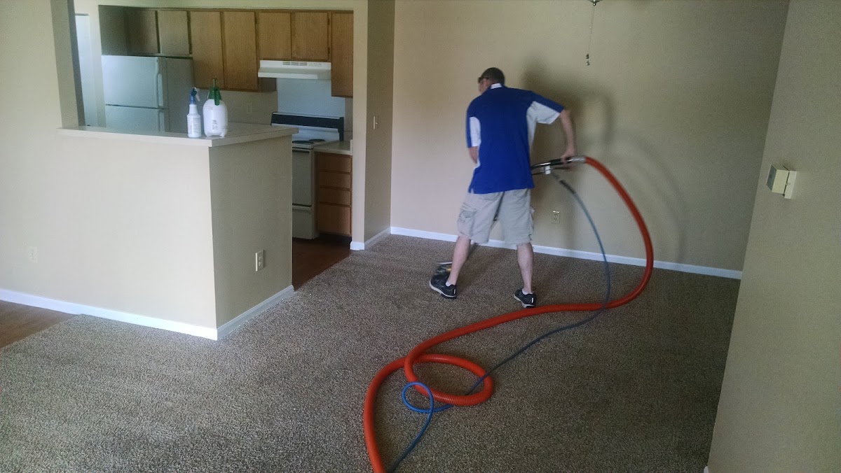 Cleaning apartment carpet next to the kitchen
